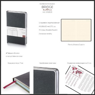 Ежедневник недатированный А5 'BRIDGE' 272 стр, синий 3