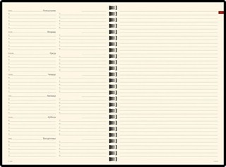 Ежедневник недатированный А5 'Concept' 64 л, синий 2