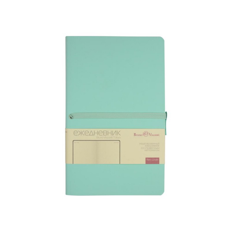 Ежедневник 'Tokyo' А5, 136 л, недатированный, иск.кожа, мятный