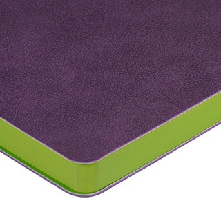 Набор подарочный 'Boston' ежедневник недатированный и ручка, фиолетовый 5