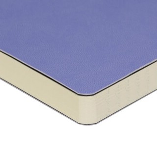 Набор подарочный Megapolis Flex (ежедневник + ручка) сиреневый 4