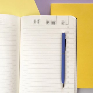 Набор подарочный Megapolis Flex (ежедневник + ручка) сиреневый 6