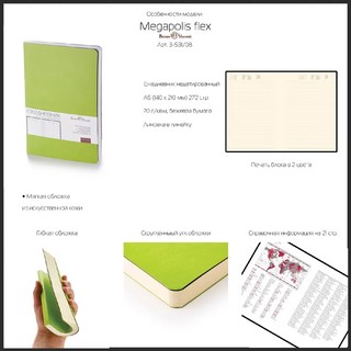 Набор подарочный Megapolis Flex (ежедневник + ручка) голубой 5