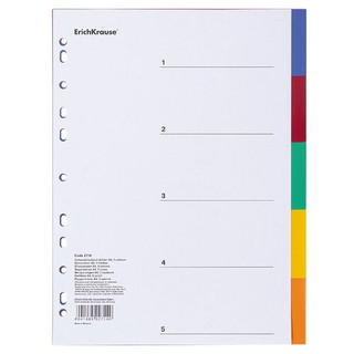 Разделитель листов пластиковый А4, 5 листов по цветам, ErichK...