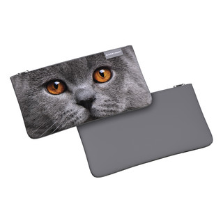 Пенал конверт Grey Cat, 22х12 см, ErichKrause Light