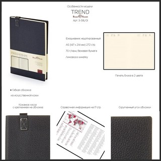 Набор подарочный 'Trend' ежедневник недатированный и ручка, серый 3