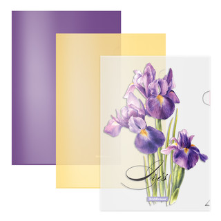 Набор из 3-х папок-уголков А4, Soft Iris, полупрозрачный плас...