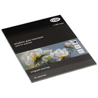 Альбом для пастели, 15 л, 25х30 см, 5 цветов, на склейке 'Ста...