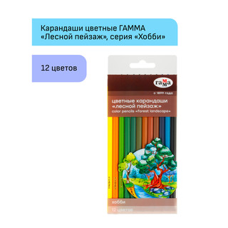 Карандаши цветные 12 цветов 'Хобби. Лесной пейзаж' заточены 2