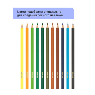 Карандаши цветные 12 цветов 'Хобби. Лесной пейзаж' заточены 3