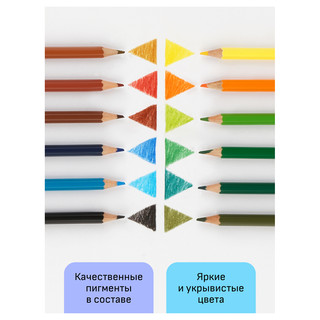 Карандаши цветные 12 цветов 'Хобби. Лесной пейзаж' заточены 5
