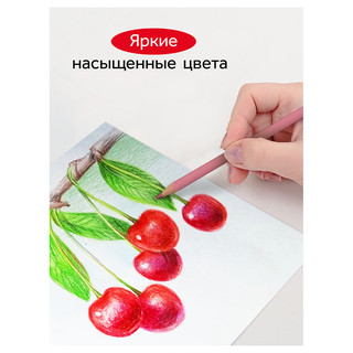 Карандаши цветные 12 цветов, квадратные, заточены, в металлическом пенале 7