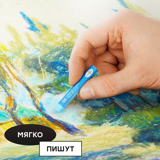 Пастель масляная 50 цветов 'Студия' картонная упаковка 6
