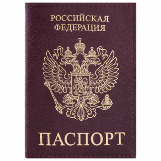Обложка для паспорта 'Profit' экокожа, 'ПАСПОРТ', бордовая