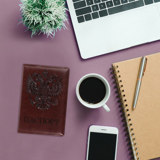 Обложка для паспорта полиуретан под кожу, 'ГЕРБ', коричневая 4