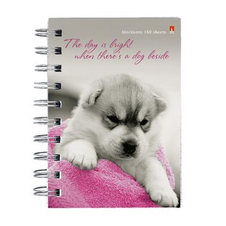 Блокнот А6, 160 л, клетка, на пружине, в ассортименте. Цена за 1 шт. 5