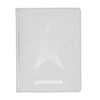 Дневник школьный Cosmo, 48 листов, серебро