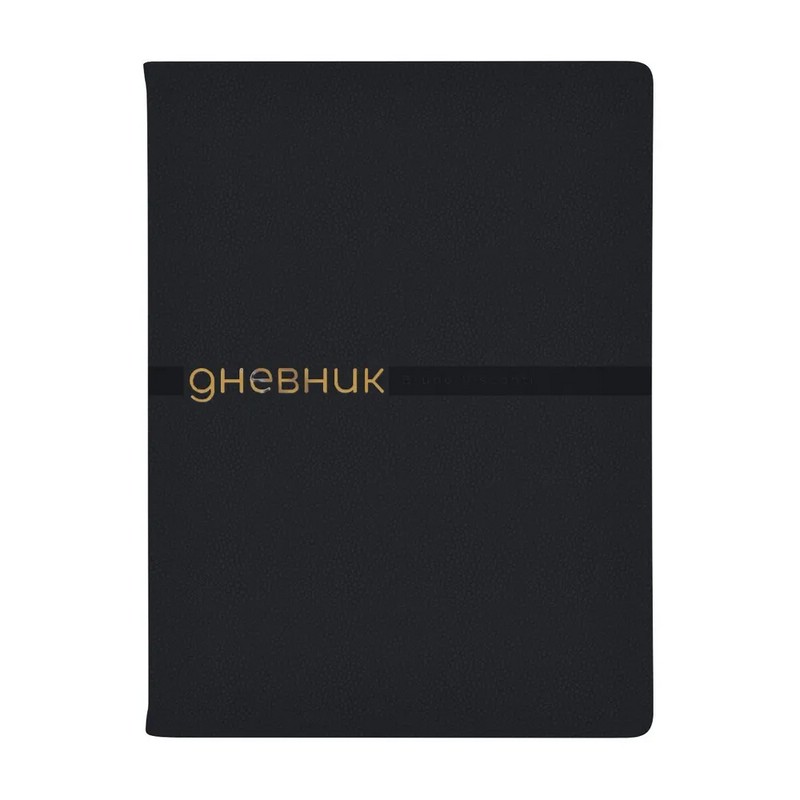 Дневник школьный Joy, 48 листов, черный