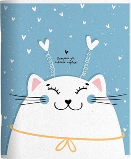 Тетрадь общая Mur-Mur, А5, 48 листов, в клетку, на скрепке