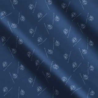 Рюкзак 'E-Scooter' облегченная капсула, синий, с эргономичной спинкой  6