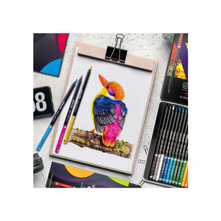 Карандаши цветные 'Blackwood Artmate' 12 цветов, в картонном футляре 6