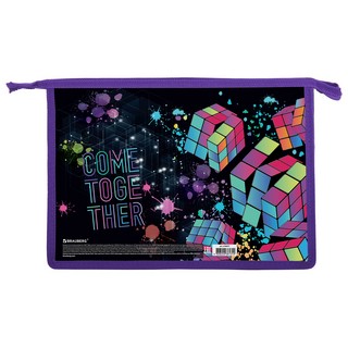 Папка для труда на молнии А4, 2 отделения, органайзер 'Come t...