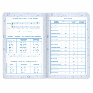 Дневник для музыкальной школы А5, 48 л, твердая обложка, кожзам 17