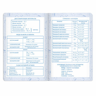 Дневник для музыкальной школы А5, 48 л, твердая обложка, кожзам 9