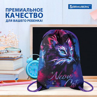 Мешок для обуви 'Neon cat' карман, подкладка, светоотражающие элементы 15