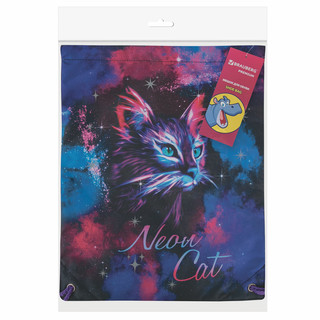 Мешок для обуви 'Neon cat' карман, подкладка, светоотражающие элементы 7