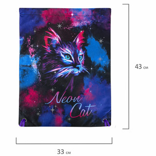 Мешок для обуви 'Neon cat' карман, подкладка, светоотражающие элементы 8