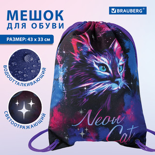 Мешок для обуви 'Neon cat' карман, подкладка, светоотражающие элементы 9