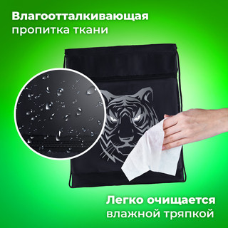 Мешок для обуви 'Tiger' с петлёй, карман на молнии 9