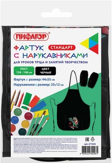 Фартук с нарукавниками для уроков труда 'T-Rex Life' 2