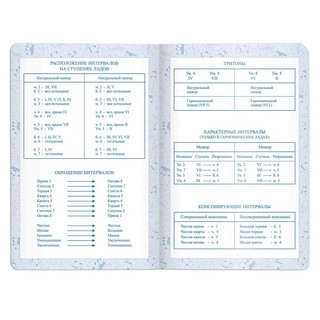 Дневник для музыкальной школы 48 листов, кожзам, фольга, фиолетовый 10