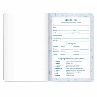 Дневник для музыкальной школы 48 листов, кожзам, фольга, фиолетовый 5