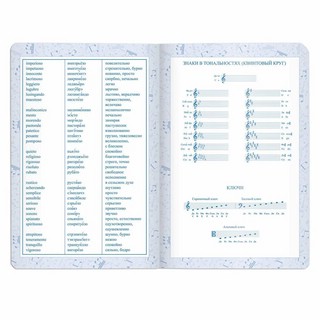 Дневник для музыкальной школы 48 листов, кожзам, фольга, фиолетовый 6