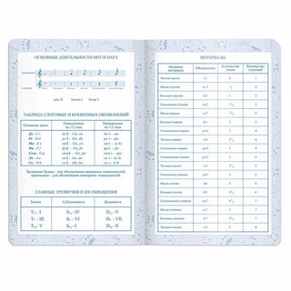 Дневник для музыкальной школы 48 листов, кожзам, фольга, фиолетовый 9