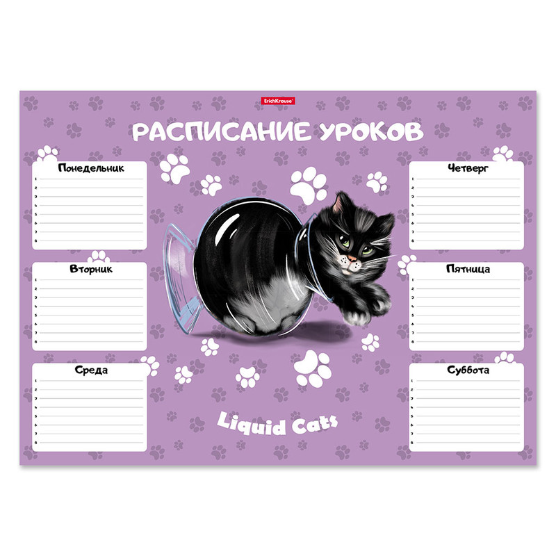Расписание уроков 'Жидкие коты' А3