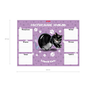 Расписание уроков 'Жидкие коты' А3 3