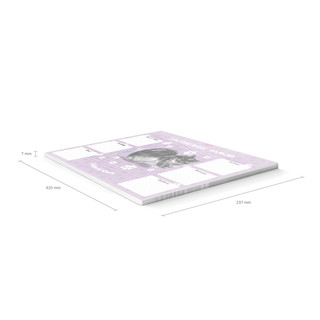 Расписание уроков 'Жидкие коты' А3 4