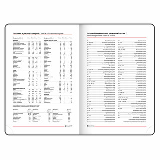 Ежедневник на 2024г, А5, 'Control', под кожу, держатель для ручки, сиреневый 12