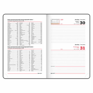 Ежедневник на 2024г, А5, 'Control', под кожу, держатель для ручки, черный 13