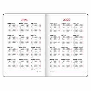 Ежедневник на 2024г, А5, 'Control', под кожу, держатель для ручки, черный 9