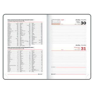 Ежедневник на 2024г, А5, 'Foliage', под кожу, коралловый 13