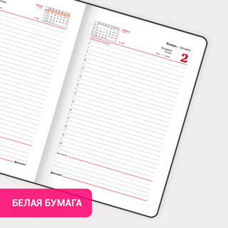 Ежедневник на 2024г, А5, 'Foliage', под кожу, сиреневый 5