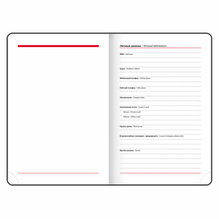 Ежедневник на 2024г, А5, 'Control', под кожу, держатель для ручки, синий 8