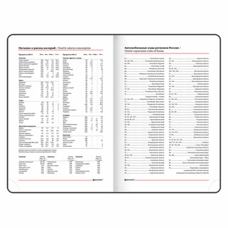 Ежедневник на 2024г 'Vista. Pastel' А5, под кожу 10