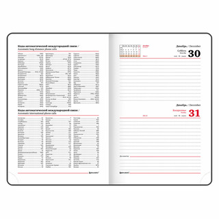 Ежедневник на 2024г 'Vista. Pastel' А5, под кожу 11