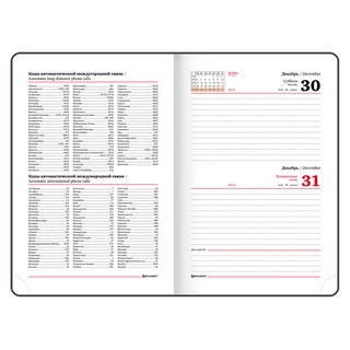 Ежедневник 2024г 'Vista' А5, под кожу, Цветущий миндаль 12